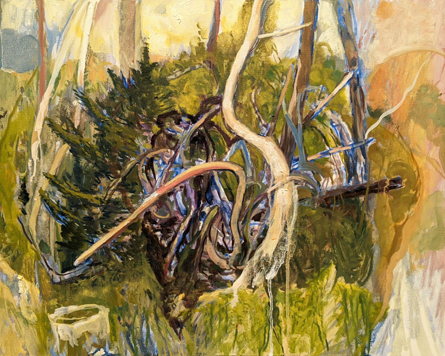 Spiraling Roots, oil painting on gessoed panel, 16 x 20