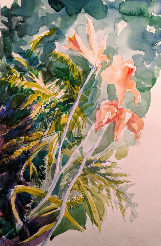 Etoile Violette, watercolor, 24 x 18