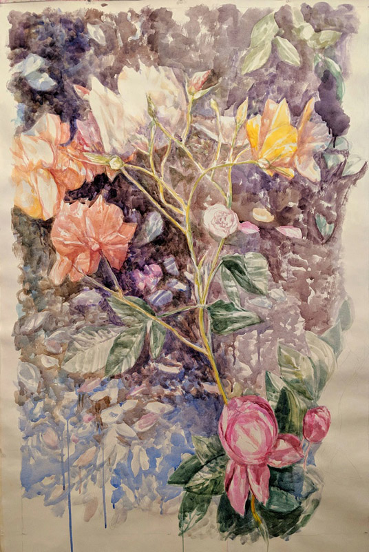Top Heavy Fallen Rose, watercolor, 65 x 45