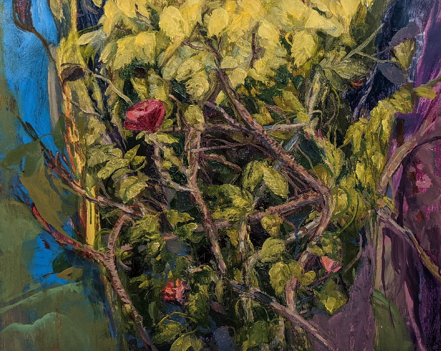 Old Rosehip Vines, oil on panel, 16 x 20