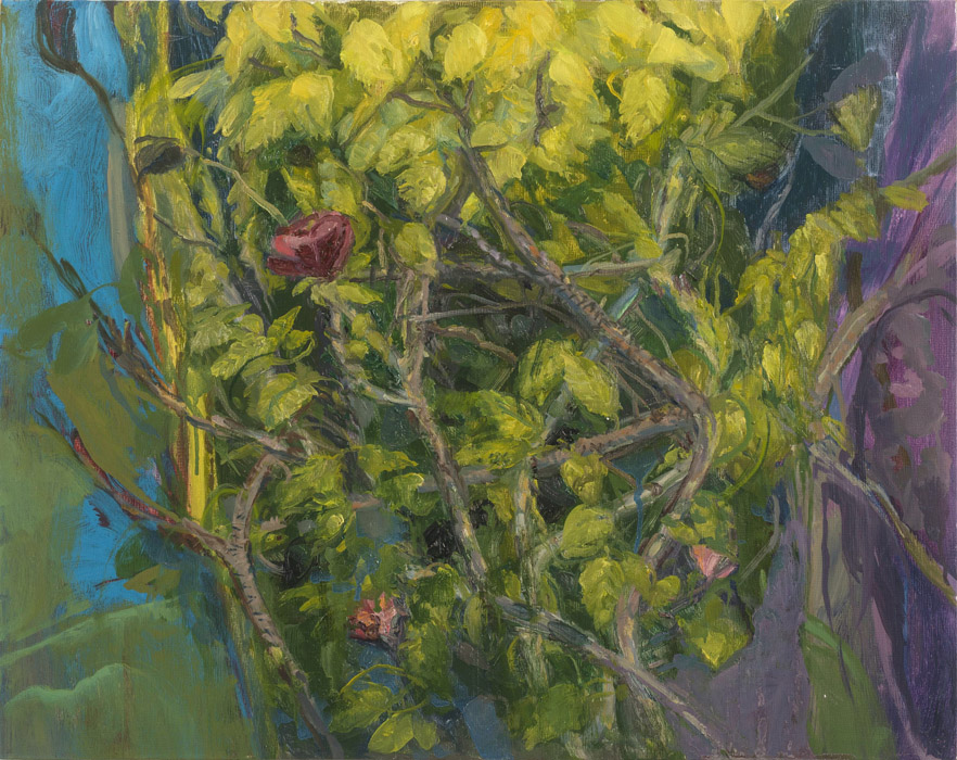 Rosehip Vines, oil on panel, 16 x 20
