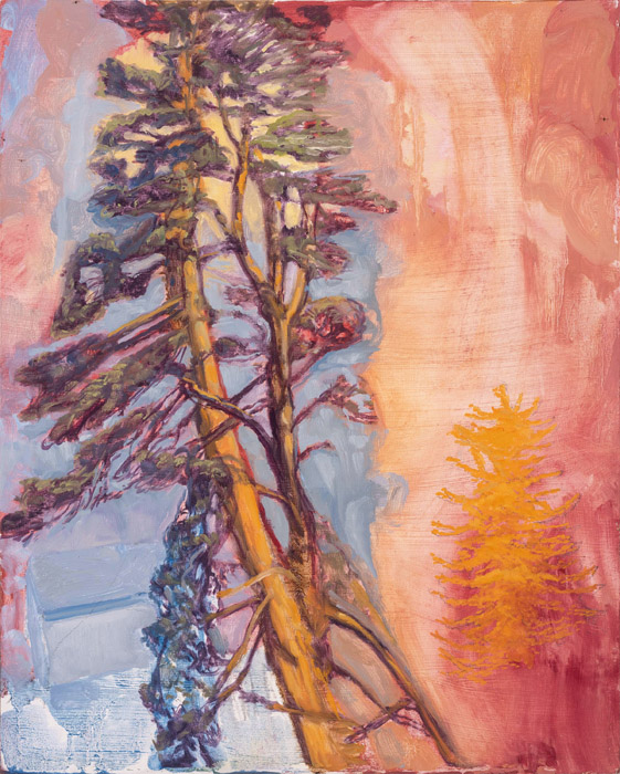 Tall Spruce Trees, oil on panel, 20 x 16