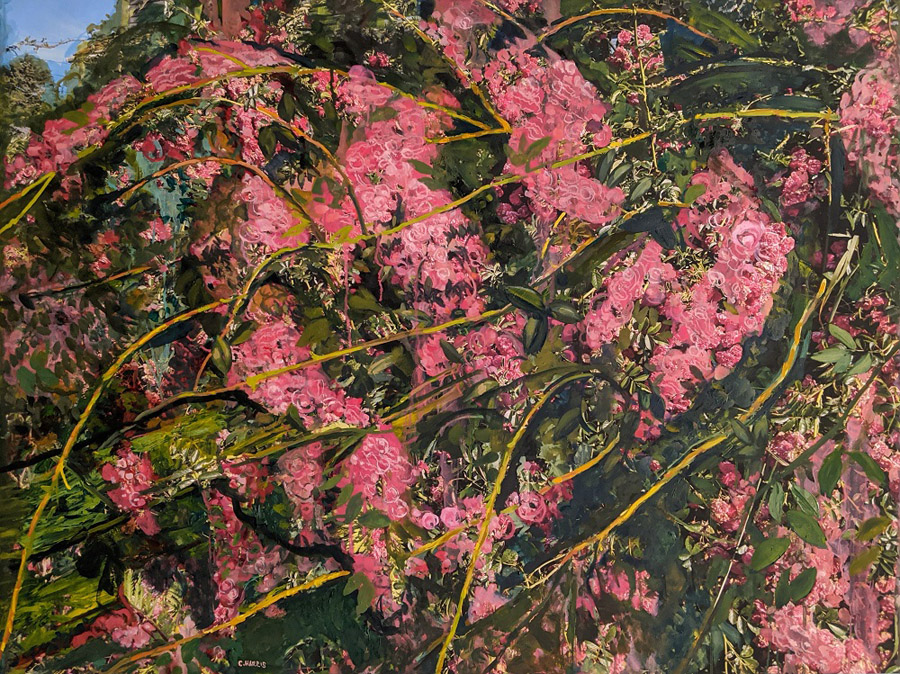 Wild Maine Roses, oil over printed photograph on canvas, 36 x 48&quot;