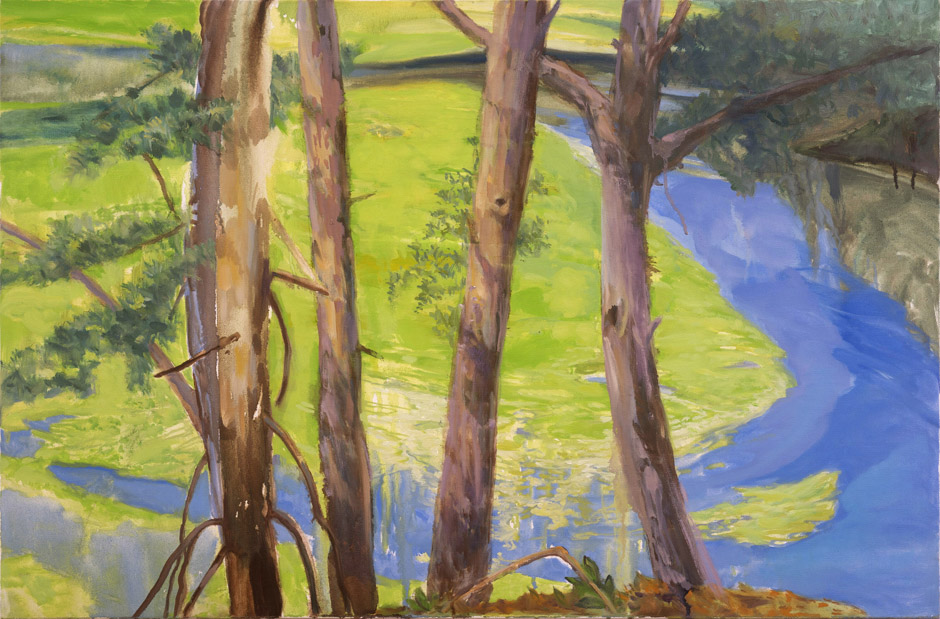 Green Marshes Beyond the Trees, oil on canvas, 30 x 40&quot;