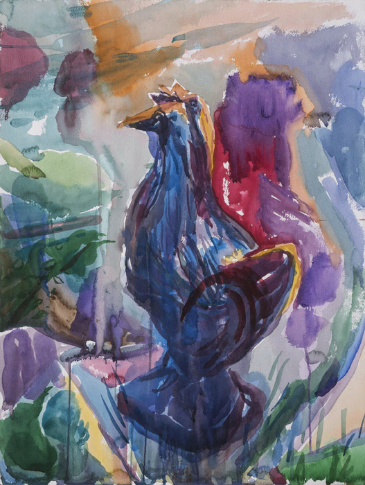 Rooster Red Tails, watercolor, 24 x 18