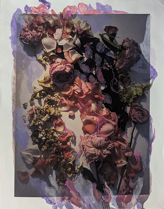 Mysteries in the Garden, gouache over my printed photograph, 26 x 20.6”