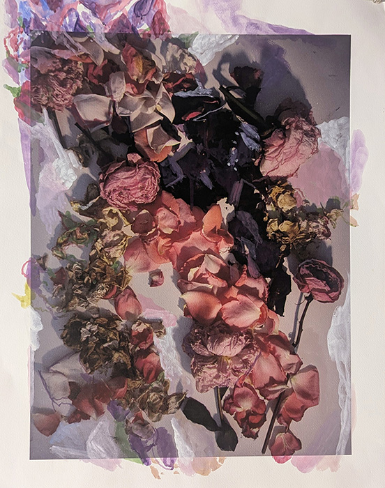 Shedding Petals, gouache over my printed photograph, 26 x 20.5”